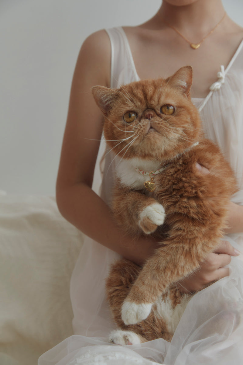 Heart "me" pet charm (gold)