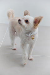 Heart "me" pet charm (gold)