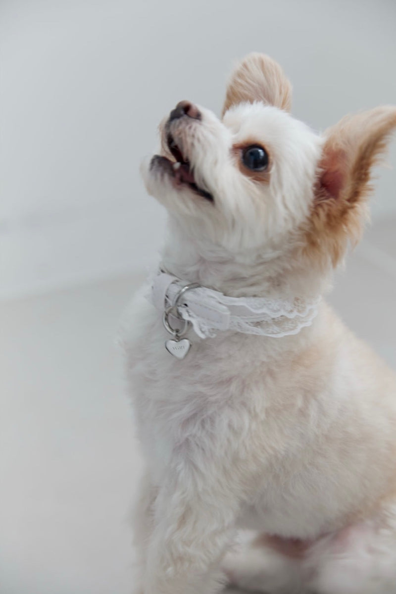 Heart "me" pet charm (silver)